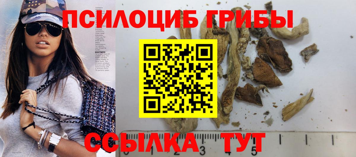 Сорочинск  Псилоцибиновые грибы мицелий  Вход с VPN 